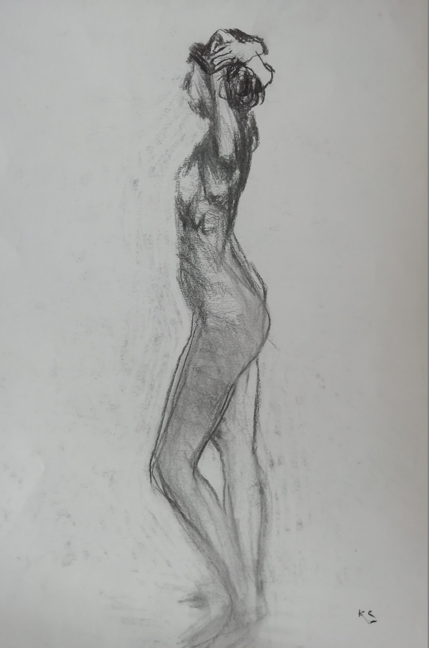 life drawing - art by Karl Sylvester, artist and garden designer working in Shrewsbury Shropshire and Mid wales